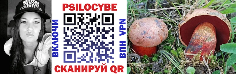 Псилоцибиновые грибы MAGIC MUSHROOMS  даркнет сайт  Елец 
